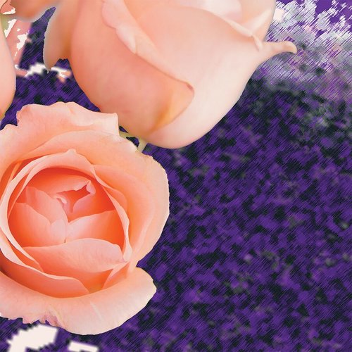 spring rose surface patterns